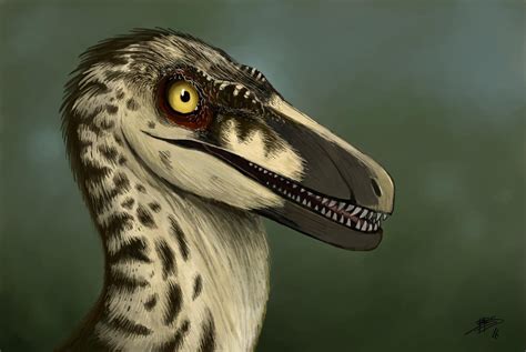Velociraptor Portrait Jp3 Female By Tnilab Ekneb121 On Deviantart