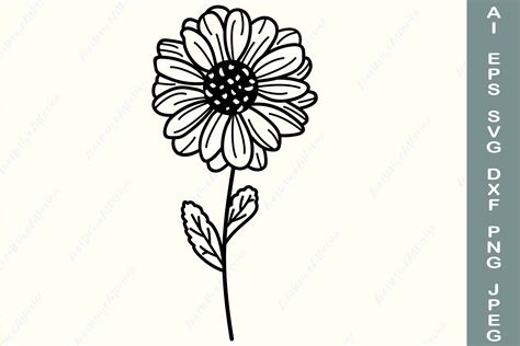 Daisy svg cut file, Wildflower svg, Floral clipart (1051234
