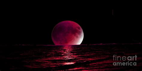 Red Moon Rising On The Horizon Photograph By Reva Steenbergen Pixels