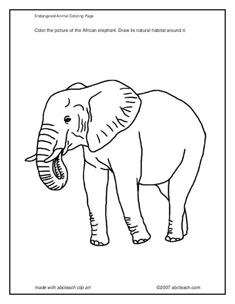 Endangered Animal Coloring Page Worksheet For Pre K 2nd Grade
