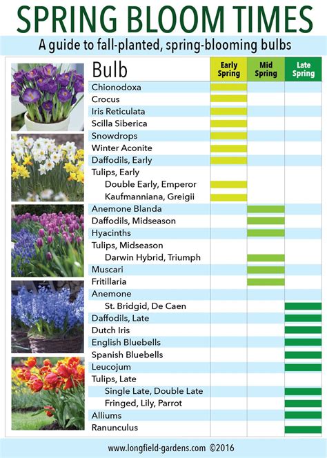 An Image Of Spring Bloom Times Chart With Flowers And Plants In The