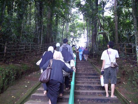 Wisata alam dan wisata religi ini banyak dikunjung wisatawan dari berbagai daerah di nusantara. morin cirebon: situ lengkong panjalu