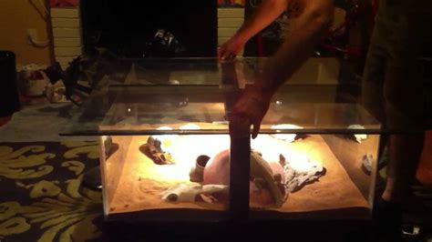 Terrarium coffee table. - YouTube 5 inches wide x 21 inches deep x 18.