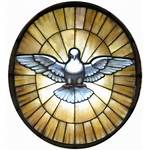 Holy Dove Spirit Catholic Doves Clipart Church