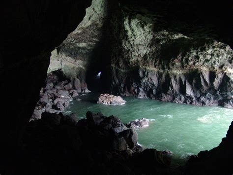 Sea Lion Caves Florence Or The Worlds Largest Sea Cave Is Home To