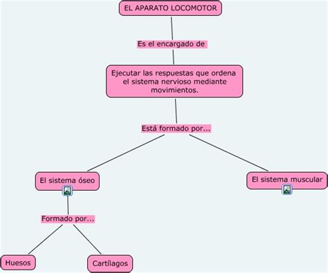 Vivimos en un sistema planetario formado por el sol y los cuerpos celestes que orbitan a su alrededor, entre ellos, nuestra tierra. El aparato locomotor