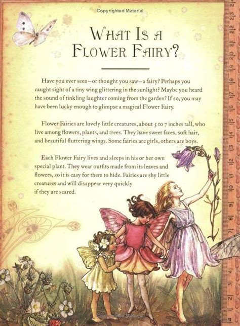 Pin By Janie Hardy Grissom On Fairy Sayings Signs Poems Flower
