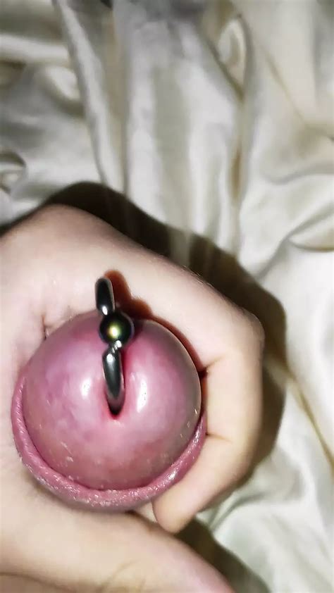 prince albert piercing jerking off masturbation xhamster