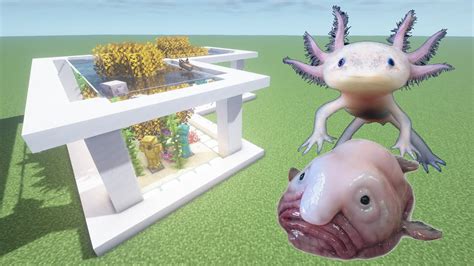 How To Make An Axolotl And Blobfish Farm In Minecraft Pe Youtube