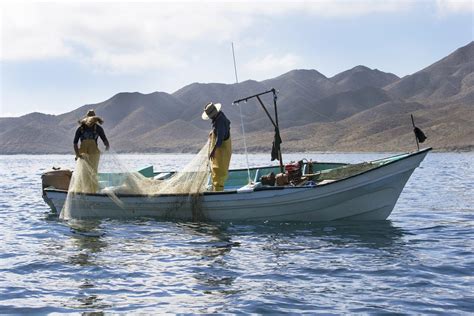 Envía Congreso De Baja California A La Permanente Iniciativa Sobre