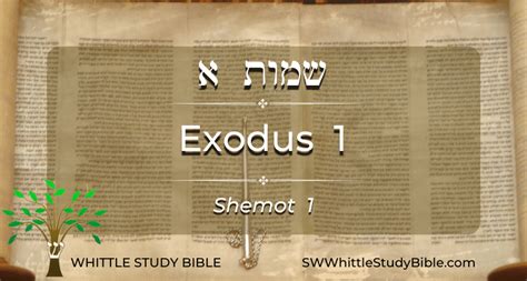 Exodus 1 Shemot Whittle Study Bible
