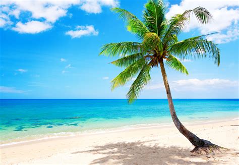 Free Download Tropical Beach Wallpapers Pictures Images 5000x3456 For