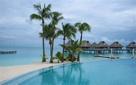 1153729 Sea Bay Beach Coast Palm Trees Swimming Pool Resort