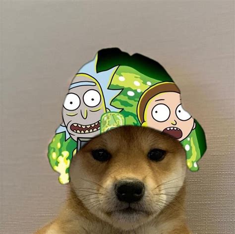 Rick And Morty Dogwifhat Dogwifhat Dog Icon Cute Animal Photos