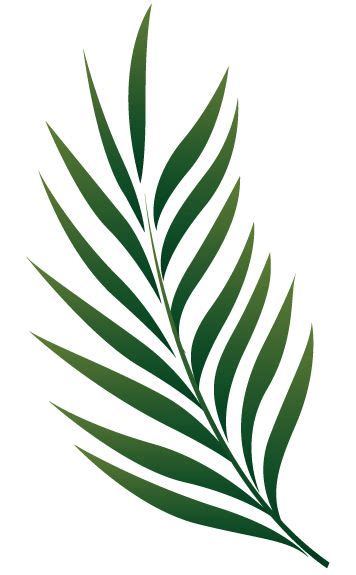 Find & download free graphic resources for palm leaf. 256 best PNG images on Pinterest | Leaf paintings, Leaves ...