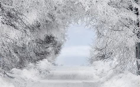 Download Wallpaper 3840x2400 Winter Snow Forest Road Arch Branches