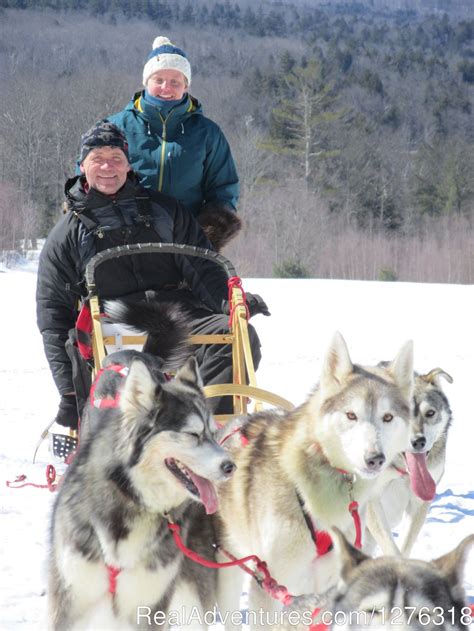 Valley Snow Dogz White Mountain Sled Dog Tours New Hampshire Dog