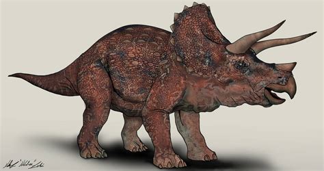 Jurassic Park Triceratops By Nikorex On Deviantart