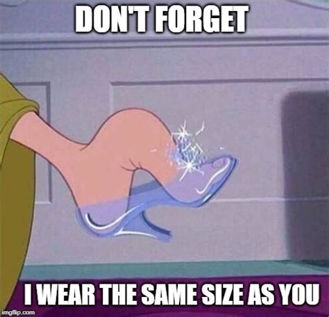 Cinderella Shoe Imgflip
