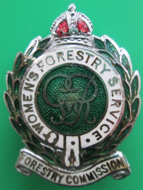 A Womens Forestry Commission Pin Brooch