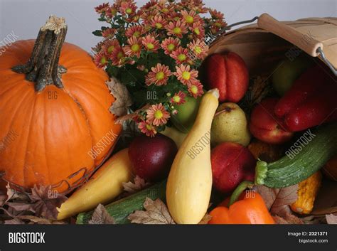 Harvest Fruits Image And Photo Free Trial Bigstock