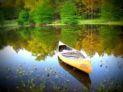 Canceled | Parent or Grandparent/ Child Trek: Canoe Sheboygan Marsh - Riveredge Nature Center