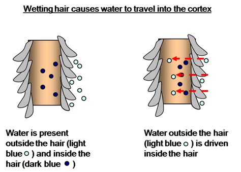 However i've read it damages your hair and that you should do it infrequently and use a heat protectant etc. Blow Drying Reduces Moisture in Hair (even with low heat!)