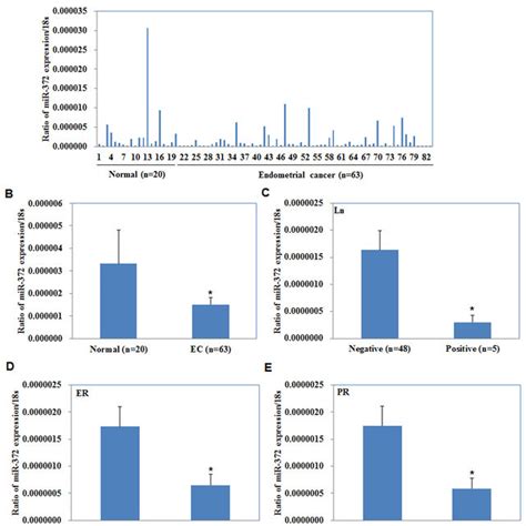 correlation of mir 372 expression with pathogenesis and aggressiveness download scientific