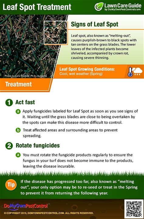 You can also use both dish and laundry detergent to treat and kill mushrooms found growing in your lawn. Leaf Spot Treatment & Control - How to Get Rid of Leaf Spot Disease