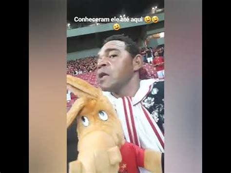 We did not find results for: O GALO CEGO 🐓😂 - YouTube