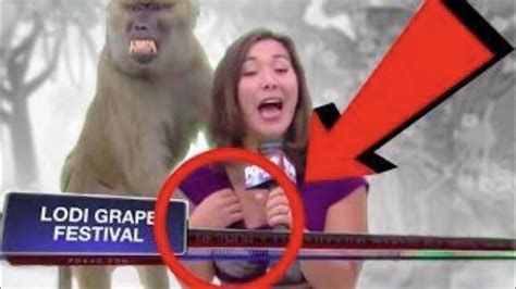 The Most Awkward Moments Caught On Live Tv Live Tv Fails Compilation