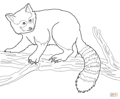 List Of Realistic Panda Coloring Pages References