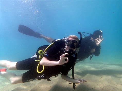barbados cruise excursions discover scuba diving and beach day