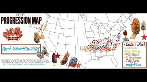 Morel Mushroom Hunting Map Arkansas