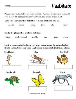 Grade 3 Classifying Animals Worksheet 3rd Grade - Thekidsworksheet