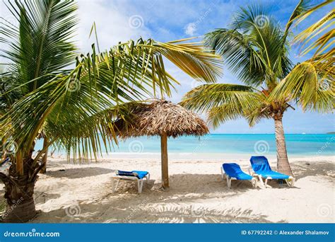 Idyllic Beach At Caribbean Stock Photo Image Of Barbuda 67792242