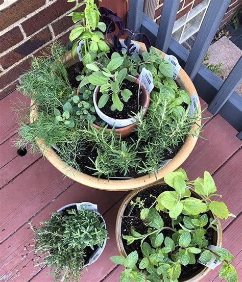 How To Make A Diy Stacked Herb Garden Heinens Grocery Store
