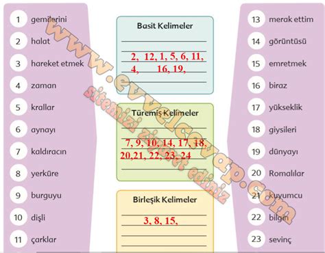 Buldum Buldum Metni Etkinlik Cevapları (6. Sınıf Türkçe)