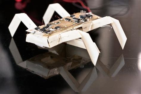 Origami Inspired Robots Spring To Life Ccc Blog