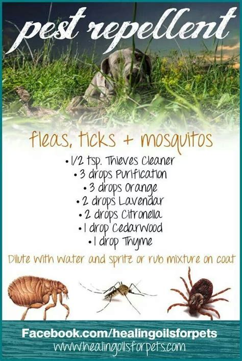 Flea, tick and mosquito repellant | Essential oils dogs, Essential oils ...