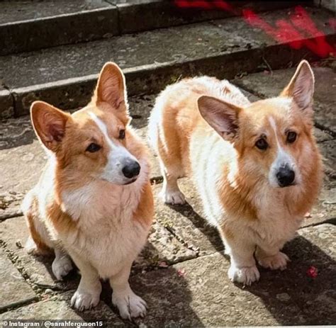 Sarah Ferguson Reveals The Late Queens Beloved Corgis Muick And Sandy