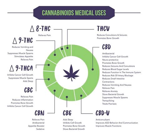 What Is A Cannabinoid Profile 27f Chilean Way