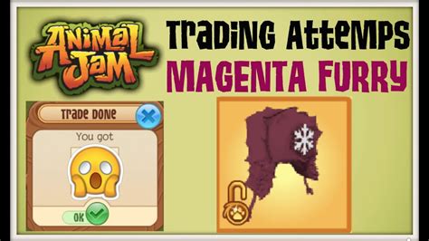 Animal Jam Trading Magenta Furry Hat Youtube