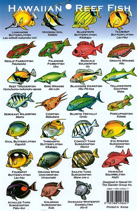 Maui Snorkeling Fish Chart