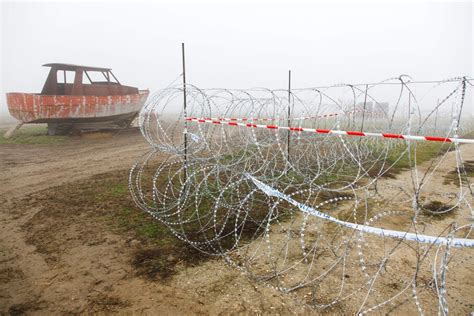 The New Anti Refugee Fences Of Europe Are Killing Wild Animals The