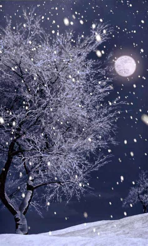 Full Moon During A Winter Snow Incredible Pics Winter Scenes