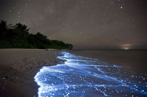 This Water Is Lit Up From Within This Incredible Phenomenon Takes