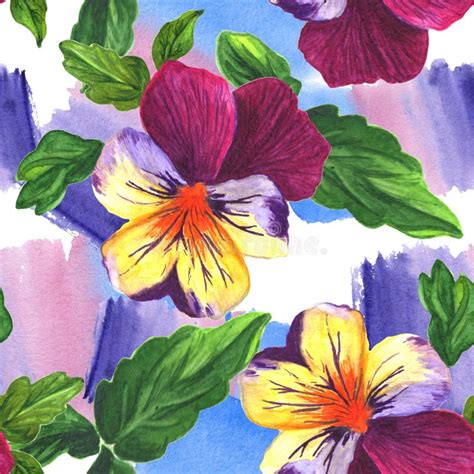 Viola Floral Botanical Flower Watercolor Background Illustration Set