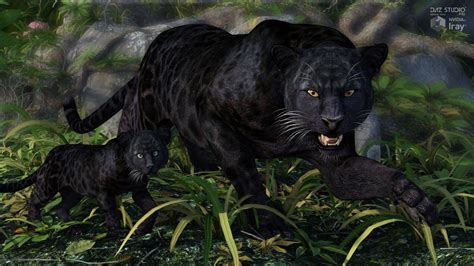 Cwrw Black Panther For The Hivewire Big Cat A Cwrw