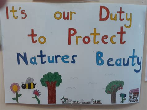 Green Schools Green Code At Linda Rhoden Blog
